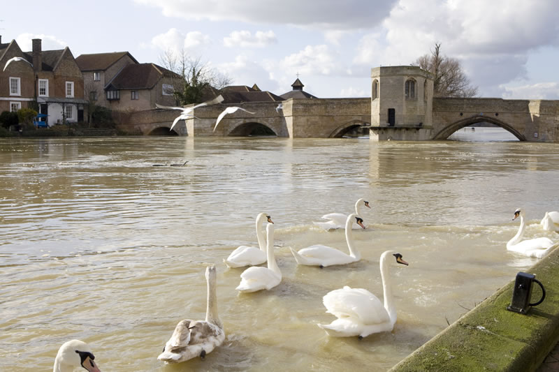 About St Ives, Cambridge